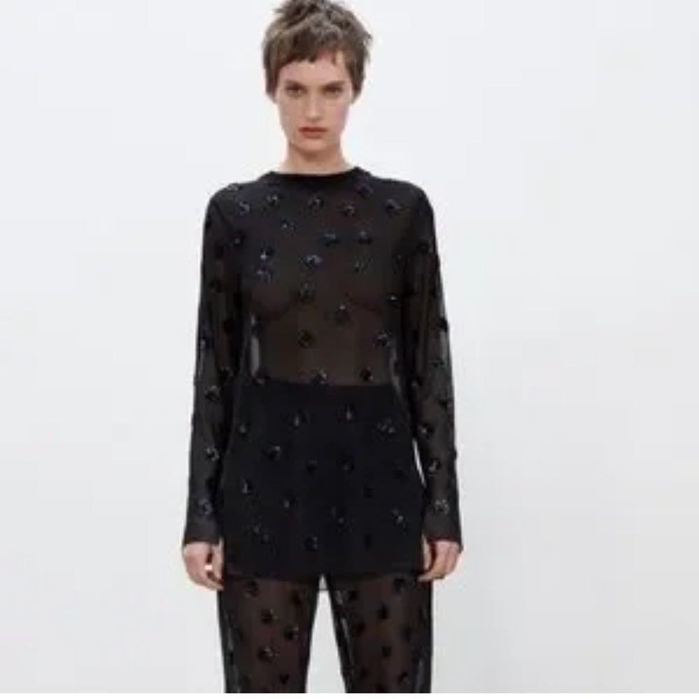 Zara Semi Sheer Pants & Top Set